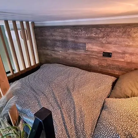 Downtown Studio-loft * Constanta
