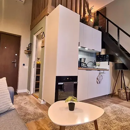 Downtown Studio-loft Apartment *