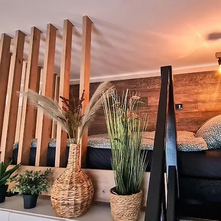 Downtown Studio-loft Apartment