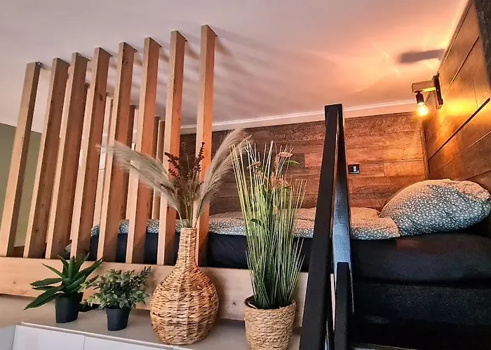 Downtown Studio-loft Apartament